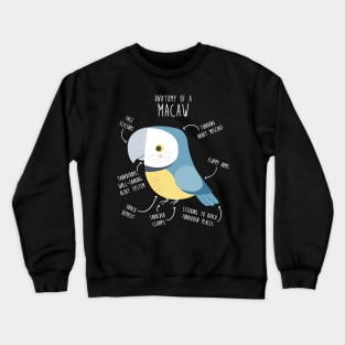 Blue and Gold Macaw Parrot Anatomy Crewneck Sweatshirt